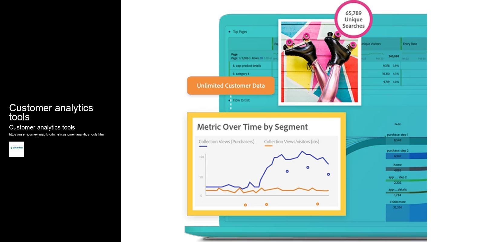 Customer analytics tools
